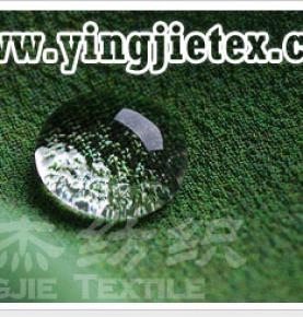 Waterproof and oil proof Teflon Fabric